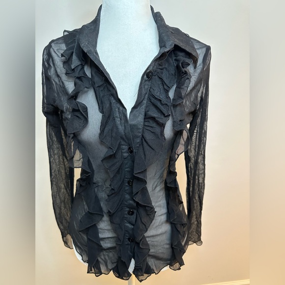 Zebra Sheer Vintage Ruffled Mesh Buttoned Blouse - Picture 4 of 12